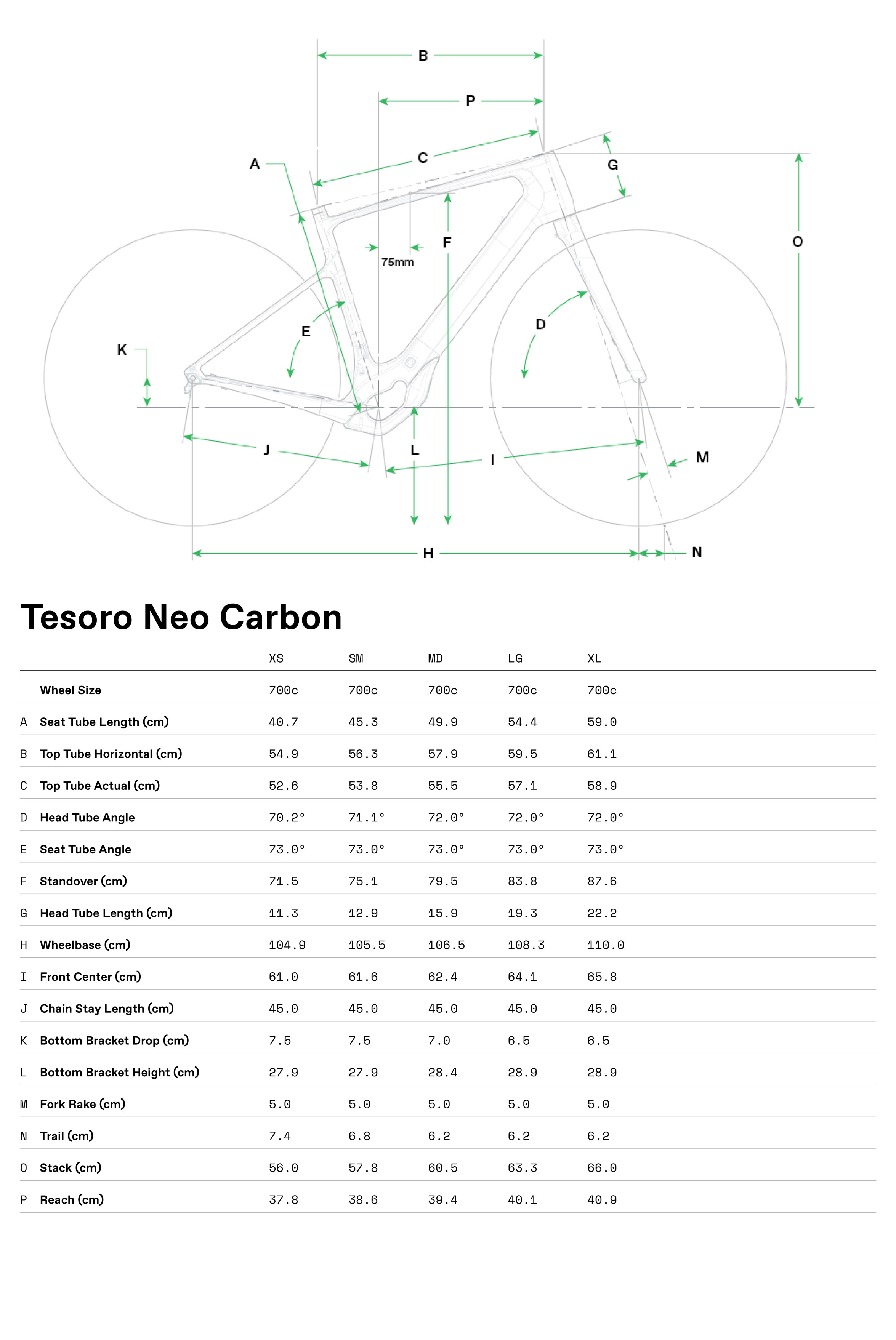 Geometrie CANNONDALE Tesoro Carbon 2 (Storm Cloud)