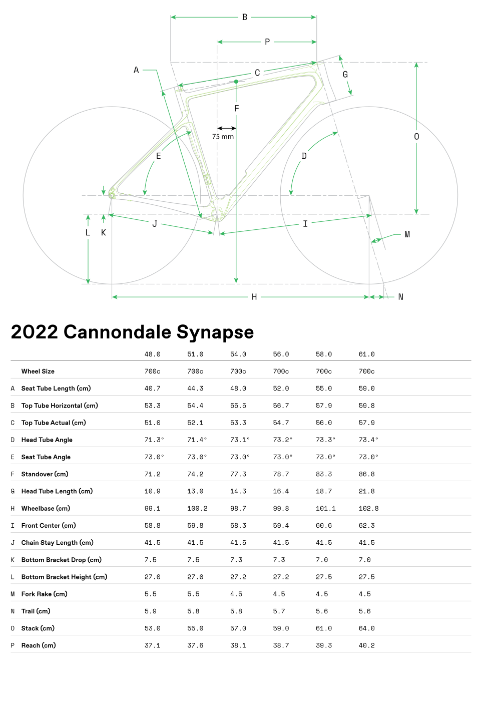 Geometrie Synapse Carbon