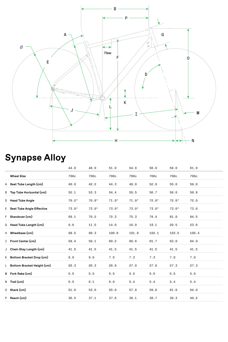 Geometrie Synapse Alloy