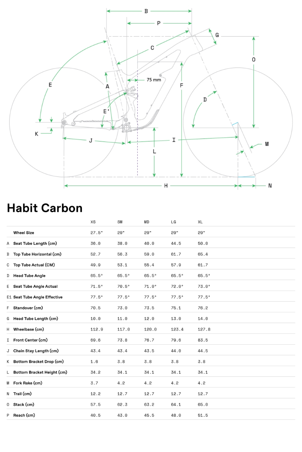 Geometrie Habit Carbon