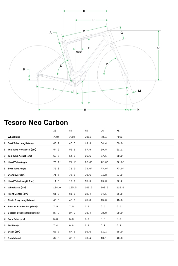 Geometrie Tesoro Neo Carbon 2
