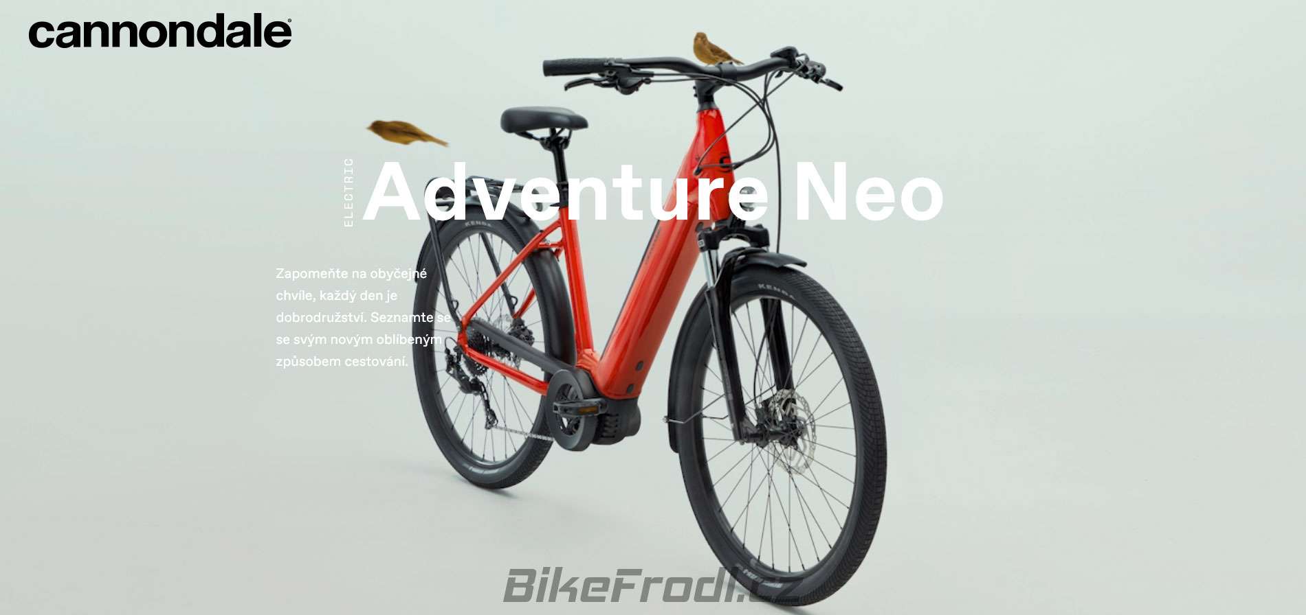 Cannondale 2023 Adventure Neo