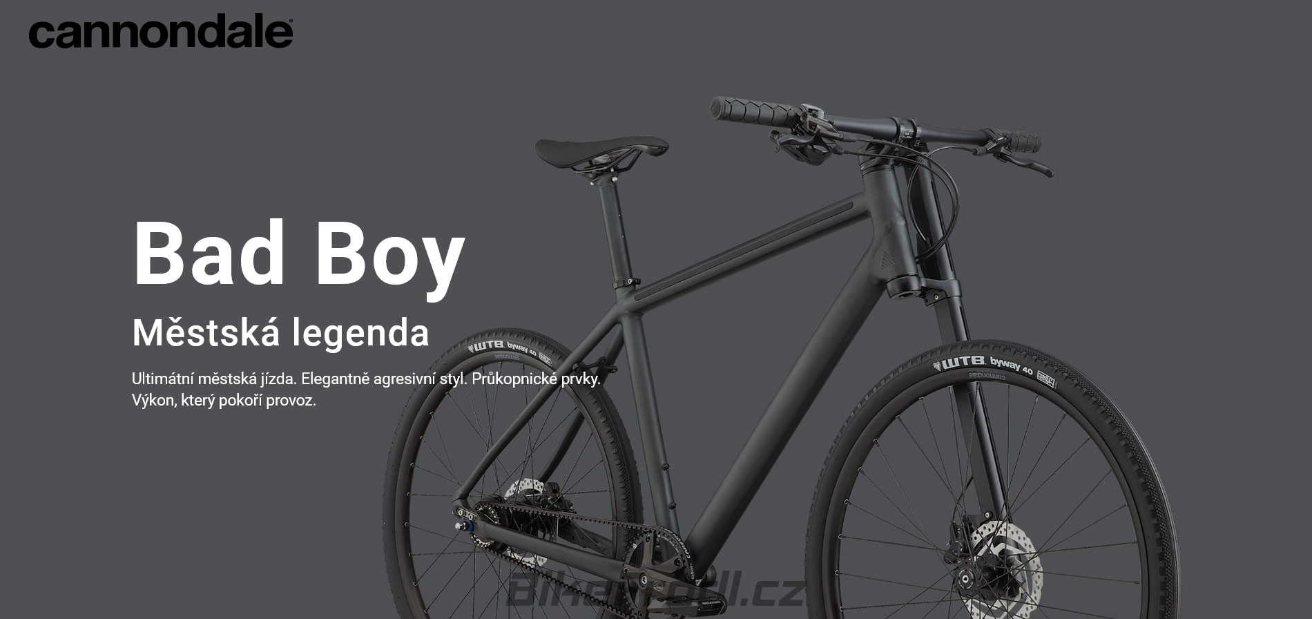 Cannondale 2023 Bad Boy