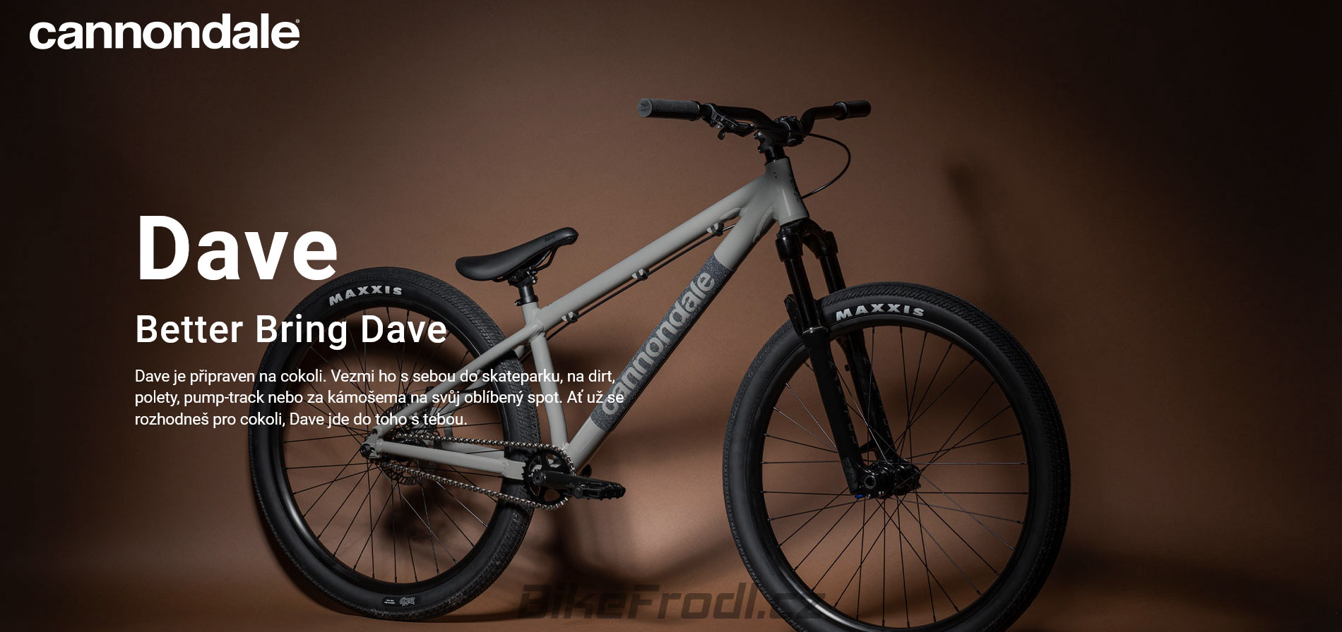 Cannondale 2023 Dave