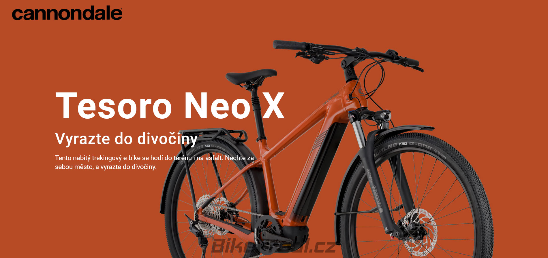 Cannondale 2023 Tesoro Neo X