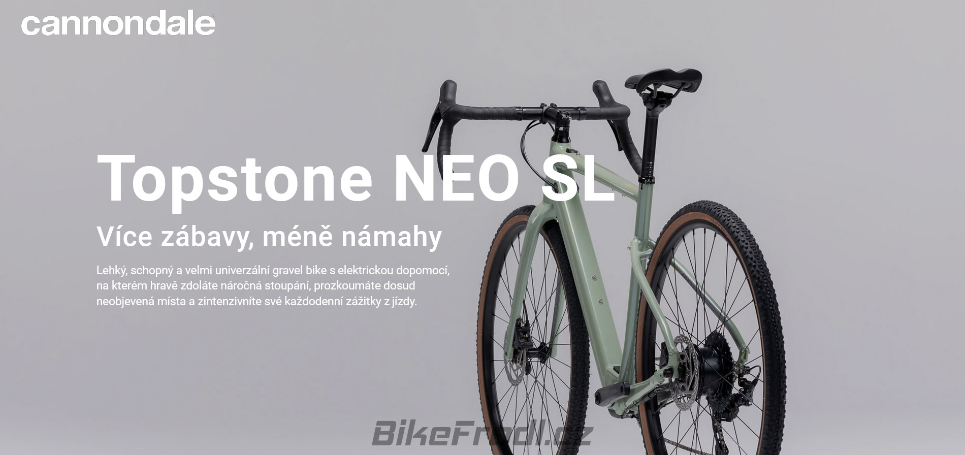 Cannondale 2023 Topstone Neo SL