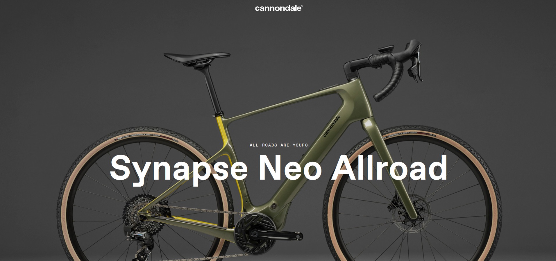 Cannondale 2024 Synapse Neo Allroad