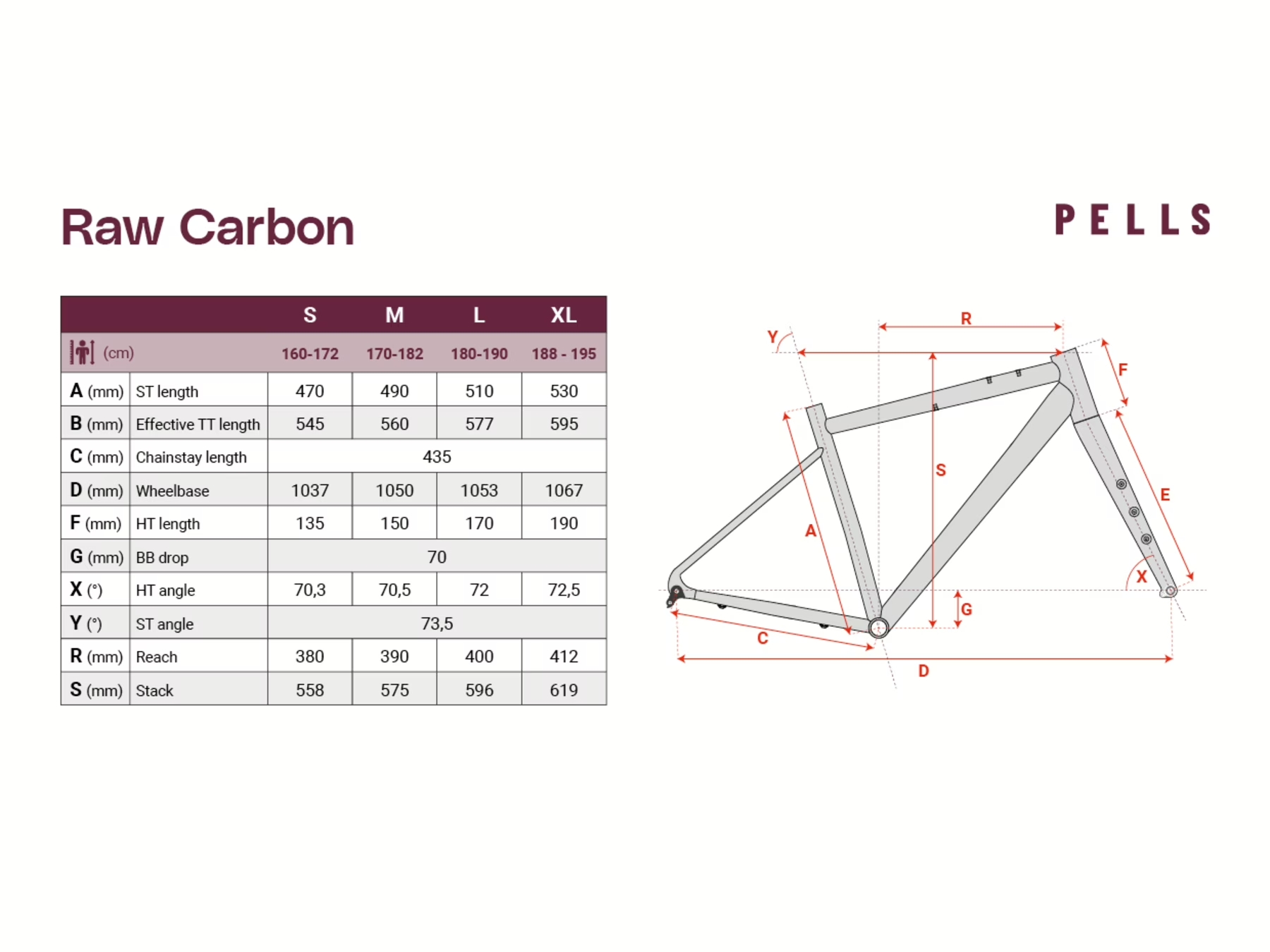 Geometrie PELLS Raw Carbon 1 Future Dusk